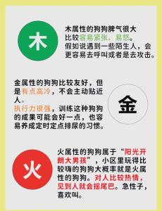 怎么化解最好 2006年屬狗五行缺火化解方法