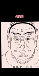 丹鳳眼的人命運如何 好不好