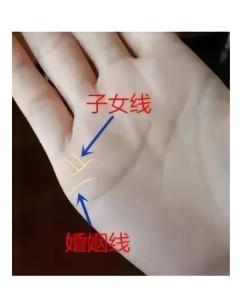 婚后相夫教子的女人手相