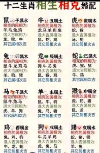 今日相沖生肖查詢 2024年6月17日沖什么生肖