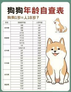屬狗的人2024年多少歲 屬狗的幾月出生的命最好