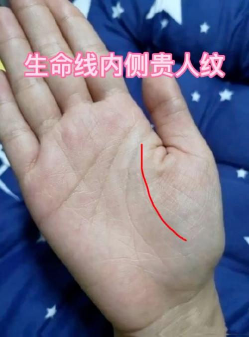 奇扶紋對人生運勢影響大嗎