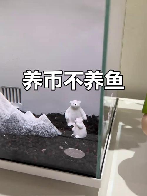 魚缸里放硬幣可以招財嗎 魚缸風水禁忌
