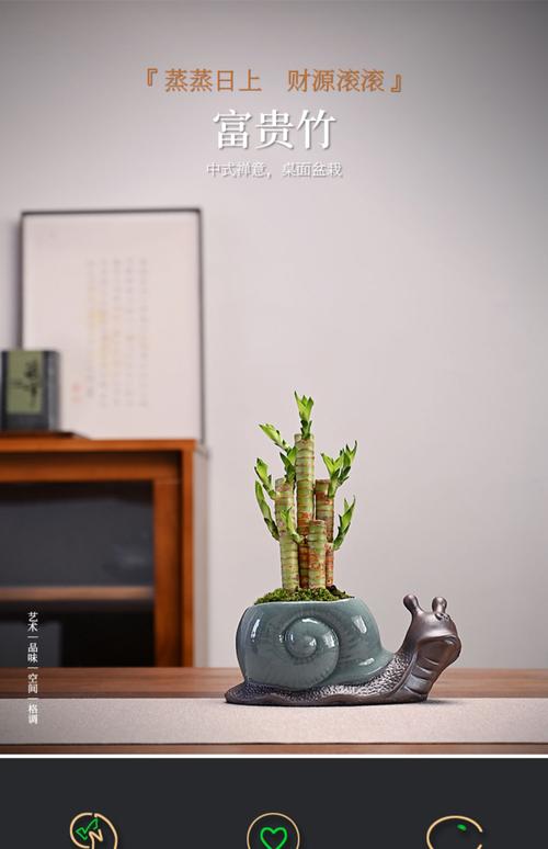 書房擺放什么可以招財