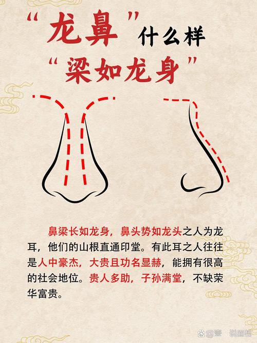 有龍鼻的人一生運勢如何