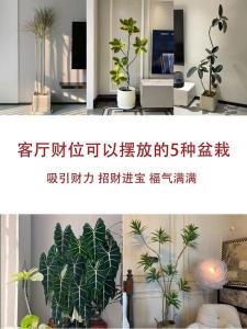 有助于招財的客廳風水有什么講究