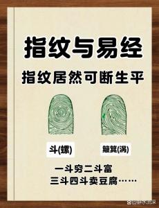 六個斗四簸箕的女人 桃花運事業(yè)運絕佳