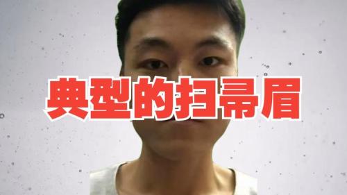 掃把眉圖片，標準的掃把眉長這樣