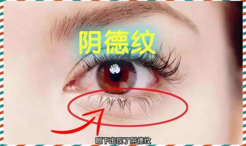 女人陰騭紋長什么樣子
