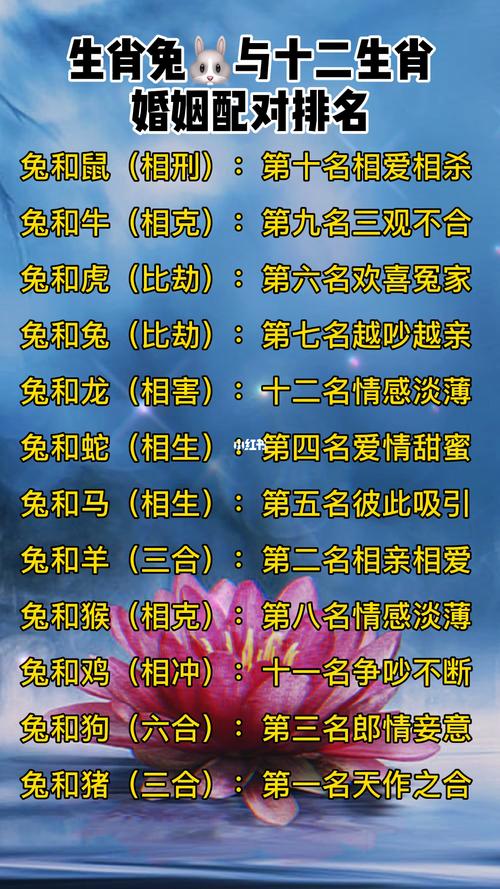 屬兔最佳婚配屬相 兔的三合和六合生生肖分別是什么