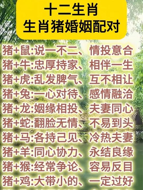 屬豬人的愛情是怎樣的 屬豬人注定糾纏生肖