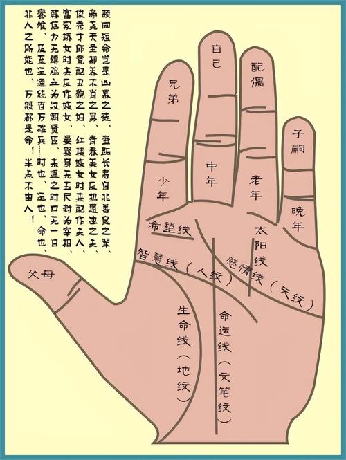 手掌宮位圖，手掌八宮看你命運好壞