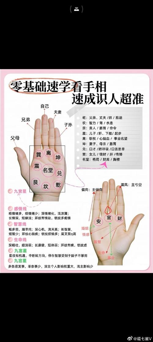 教你看手相把握未來