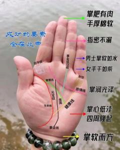 手掌紋隱藏的運(yùn)勢秘密