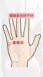 手相看婚姻的不平路