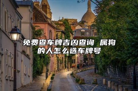 94年屬狗人使用什么車牌號最好 94年狗車牌號吉祥數(shù)