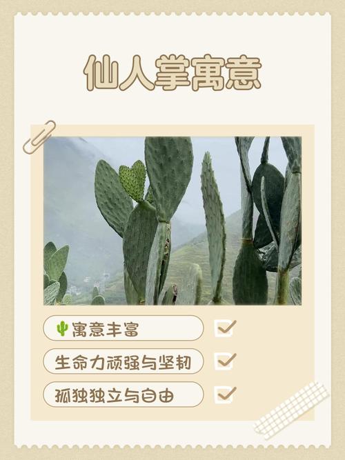 如何用仙人掌來化解配偶的桃花運