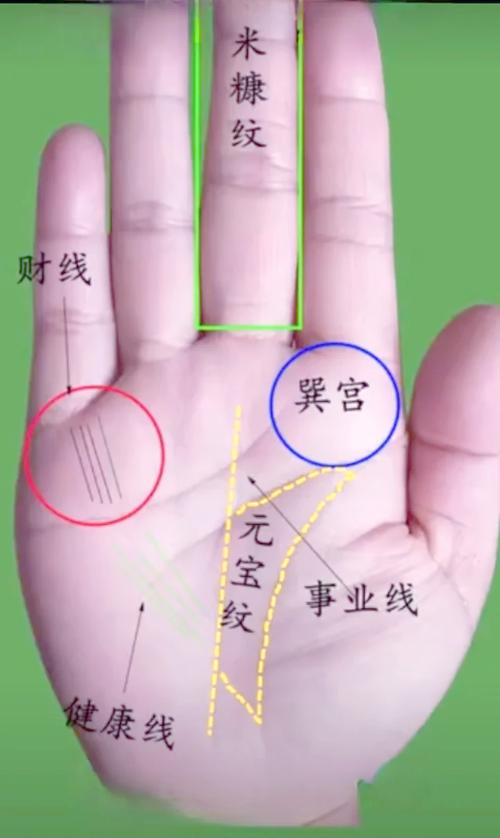 女人有幾種手相財運好必定富貴