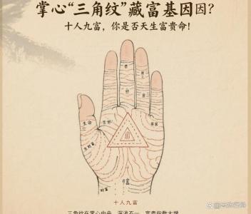 百年難遇三角紋 發展昌盛難得的富貴之命