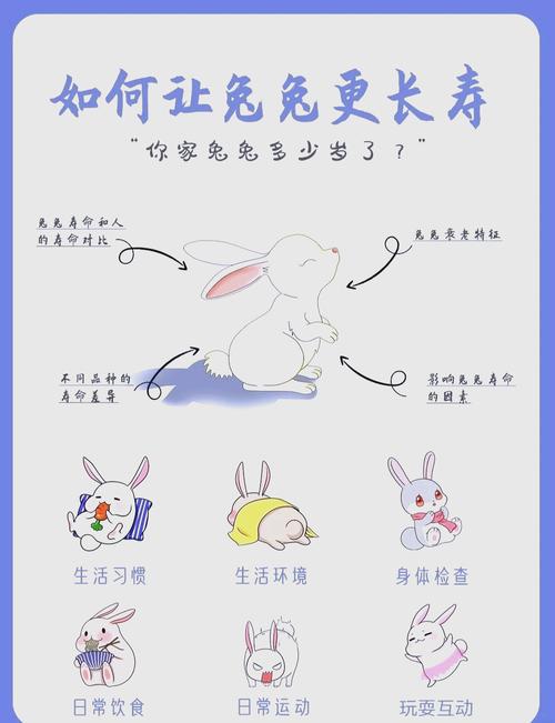 為什么兔年不能生孩子  一生金錢不缺