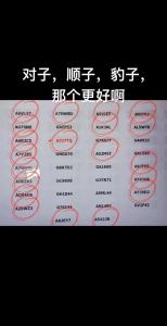 50選1選車牌號的技巧 避免遺漏絕佳車牌的方法