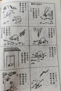 屬鼠哪個時辰出生好 丑時出生衣食無憂