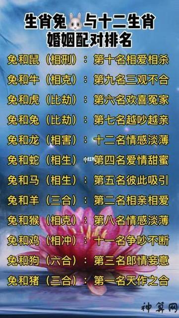 生肖性格分析 生肖男鼠配生肖女兔相配嗎