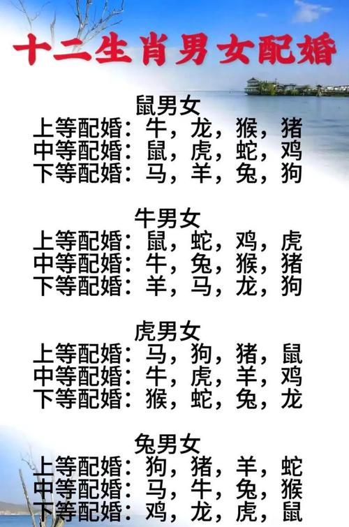 屬鼠的婚配表 屬鼠的上等婚配生肖