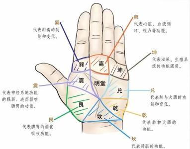 手相八卦宮位 十二宮
