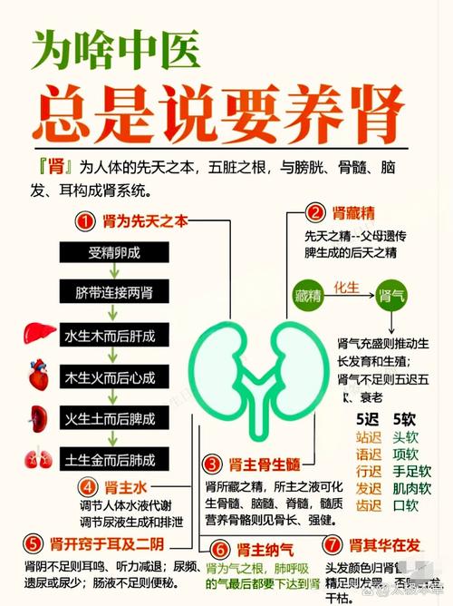 從八字看男女腎功能