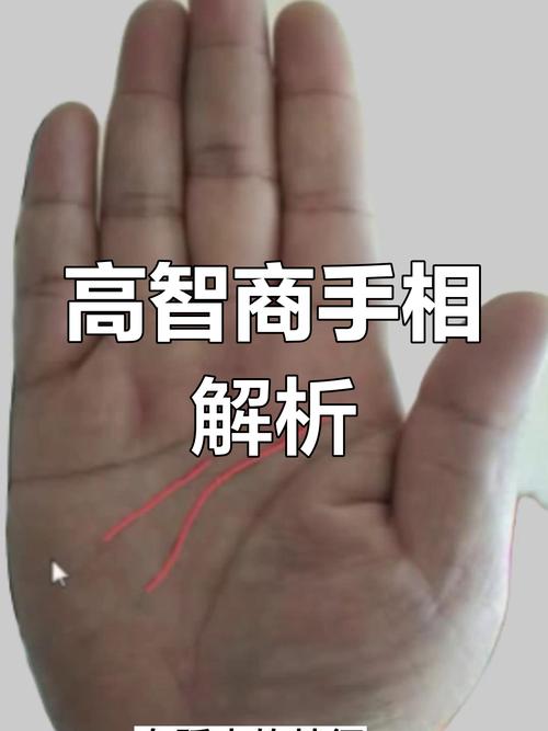 手相智慧線有2條是不是很聰明