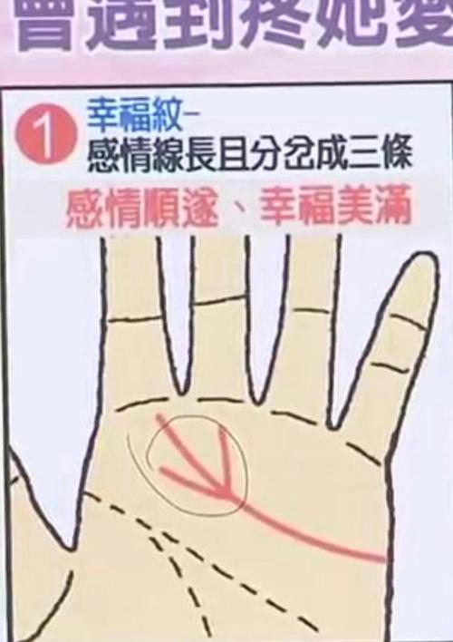 怎么判斷天生幸福的好手相