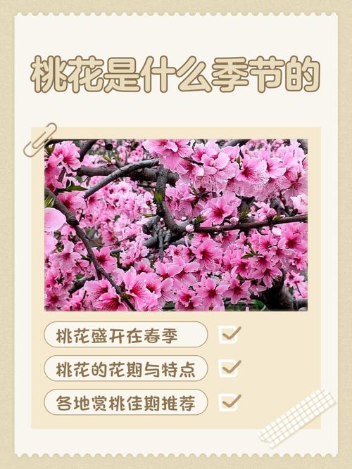2013年農歷2月誰桃花最旺