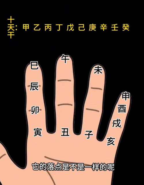 十指全是斗的是帝王命嗎