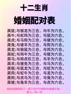 十二屬相配對姻緣揭秘