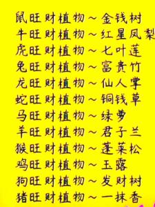 12生肖旺財風水花草，找對了就賺了