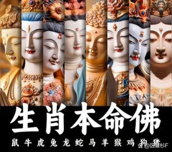 1983年屬豬人什么時候轉(zhuǎn)運 虎年 兔年 羊年