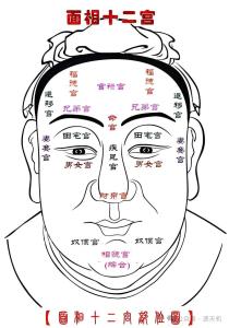 骨相學：一陽骨面相