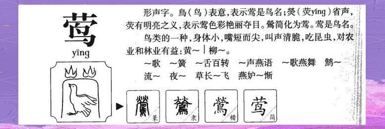 帶鶯字的女孩名字大全