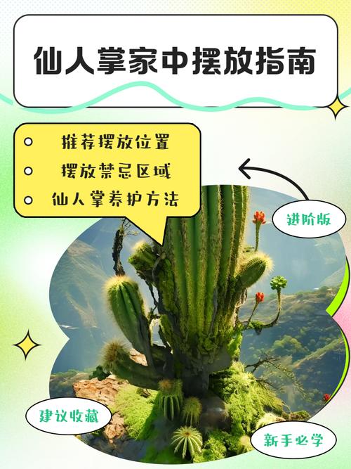 在臥室如何布置桃花風水 仙人掌是禁忌物