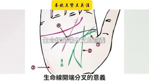 解析生命線分叉的寓意：中間分叉代表什么？