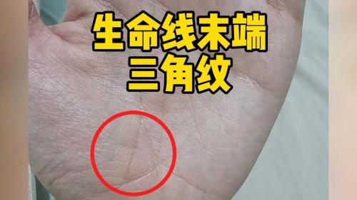 生命線上有三角紋好嗎？身體健康、富有朝氣和活力！