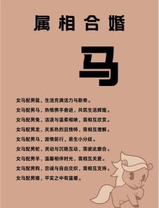 生肖馬和什么生肖最配 生肖馬和什么生肖相沖
