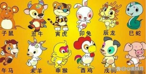牛和鼠生什么屬相的寶寶最好 鼠和牛生什么生肖寶寶最好