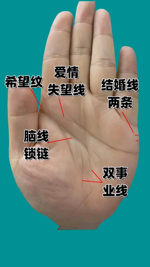 事業成功的人的手相特征看你有沒有