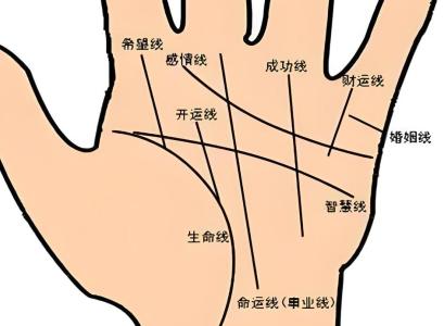 幾種擁有成功運的手相快來看看