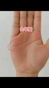感情線預測未來戀人長相