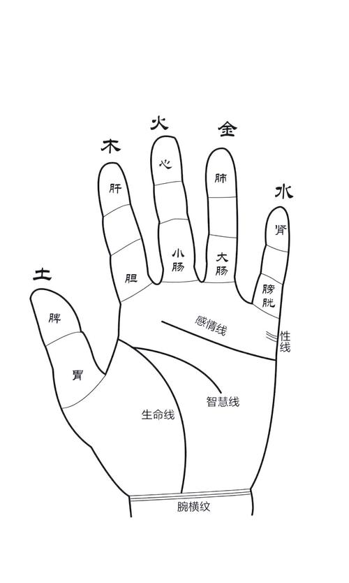 教你如何看手相圖解 手指代表的五行解析