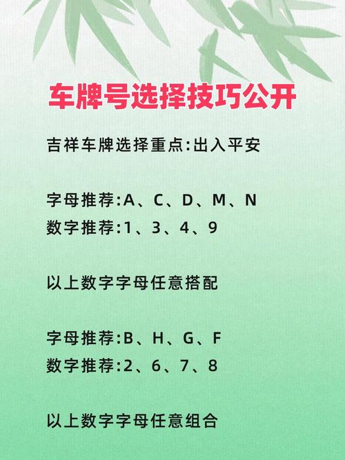 汽車自選牌照怎么選 吉利數字0為首選