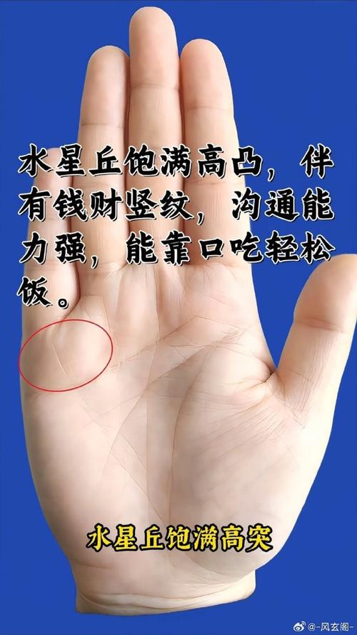 手相水星丘在哪個(gè)位置，代表人的口才和才華！
